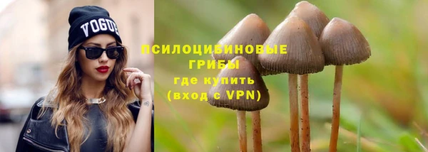 сатива Балабаново
