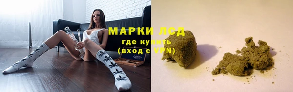 сатива Балабаново