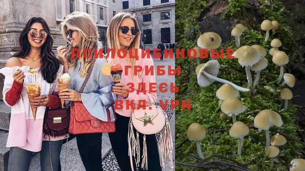 сатива Балабаново