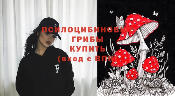 винт Балахна