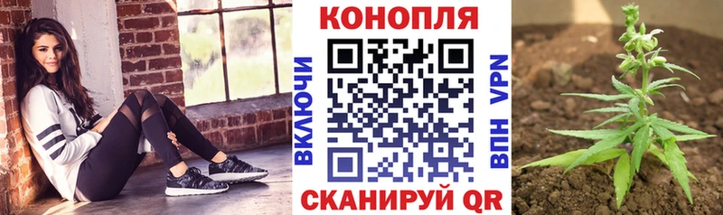 Каннабис индика  где продают наркотики  Цивильск 
